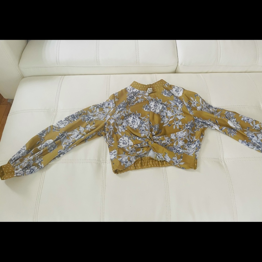 Sophisticated and Sexy Cropped Blouse